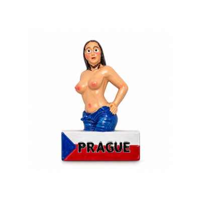 Ceramic Magnet CQ21253 Ceramic Magnet CQ21253