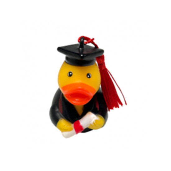 Graduation Duck ZY0281 6*6*5cm